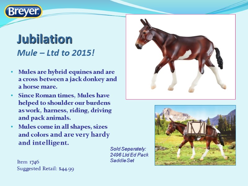 Jubilation Mule – Ltd to 2015!  Item 1746 Suggested Retail: $44.99  Mules